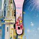 2021 Disney Parks Castle 25th Cake Pre Arrival Magicband Magic Band Unlinked