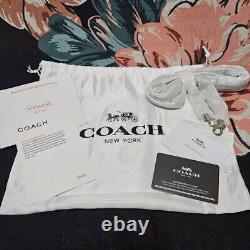 COACH Disney collaboration Cinderella C1426 2WAY bag vintage new 2404M