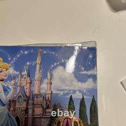 Disney Cinderella Doll Princess Theme Parks Collection Blue Dress New