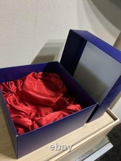 Disney Cinderella Glass Slipper Blue Cushion Box Set Telegram Limited New Japan