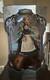 Disney Limited Edition Doll RAGS Cinderella NEW IN BOX WITH PLASTIC PROTECTOR