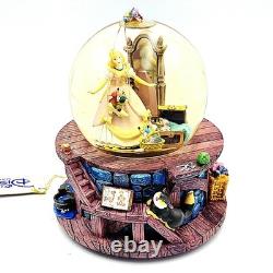 Disney Store Cinderella Pink Dress Snow Globe 2004 Wish Your Heart Makes NWT