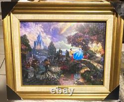 Disney's Cinderella Wishes Upon a dream