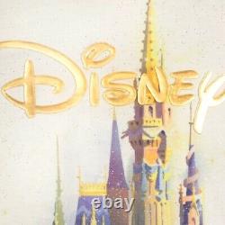 NWT Walt Disney World 50th Anniversary Cinderella Castle Spirit Jersey Shirt XXL