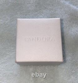 New 2021 Pandora Walt Disney World Parks Exclusive Cinderella's Castle Charm