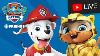 New Cat Pack And Moto Pups Paw Patrol Rescue Episodes Cartoons For Kids Live Stream